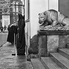 фото "Заколдованный принц"