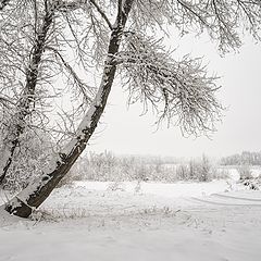 фото "Зарисовка."