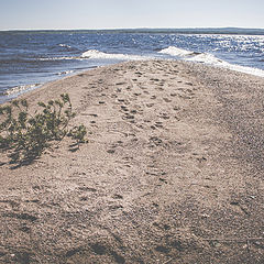 photo "песок и вода"