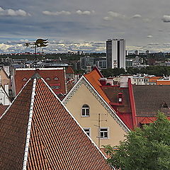 photo "Tallinn"