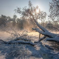 Фотоальбом "2018"