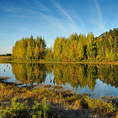 фото "С первыми лучами"