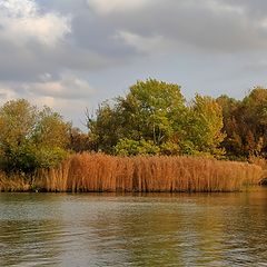 фото "Краски осени ."