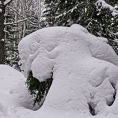 фото "снежные скульптуры в лесу. Творит природа."