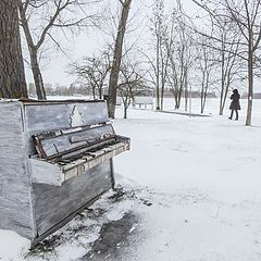 фото "Зимнее пиано Дона."