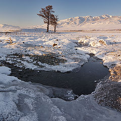 фото "Зимняя зарисовка"