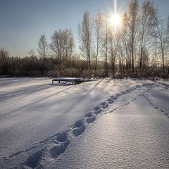 фото "Старый знакомый"