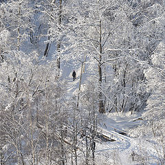 фото "Кружева"