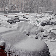 фото "А вот и снежок"