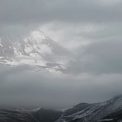 photo "***"