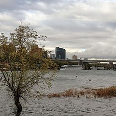 фото "Донской разлив."