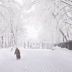 фото "Зимы кружение"