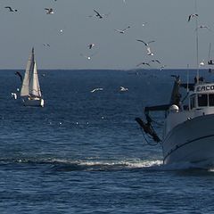 фото "boats, seagulls, sea"