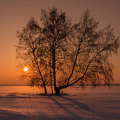 фото "На закате дня..."