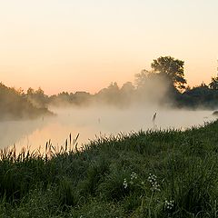 фото "Перед рассветом"