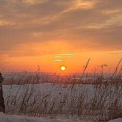 фото "Берёзы и закат."