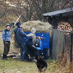 фото "Выросли помощники."