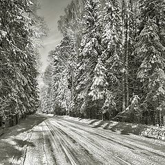 фото "Волшебная дорога"