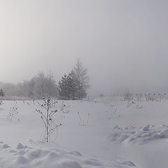 фото "Утро седое"