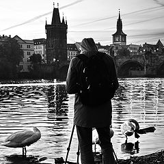 фото "Утренний фотограф"