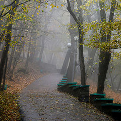 photo "***"