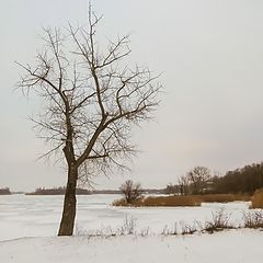 фото "Зимний Дон."