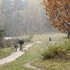 фото "Осенняя прогулка"