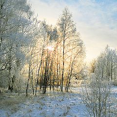 фото "Весенние заморозки"