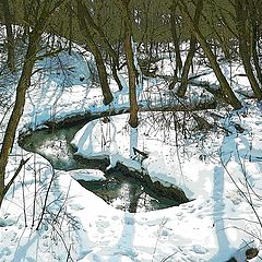 фото "Лесной ручей"