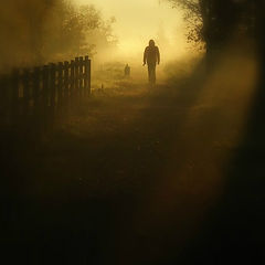 photo "***"