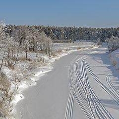 фото "Линии жизни 2"