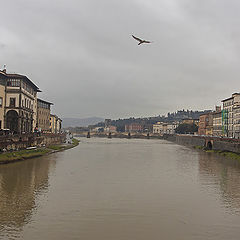 photo "Florence, cloudy"