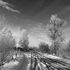 фото "Весенняя распутица"