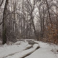 фото "Март"