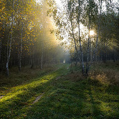 фото "Утро."