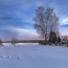 фото "Морозное утро"