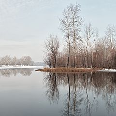 фото "Весення пастель."