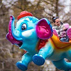 photo "Spring flight on an elephant"