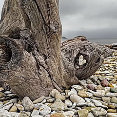 фото "В поиске Куринного Бога. Пляж Тойла"