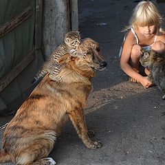 фото "А У НАС ВО ДВОРЕ"