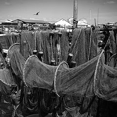 photo "fishermen's tools"