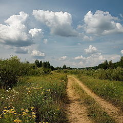 фото "Небесный хоровод"