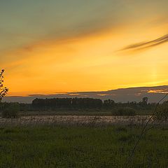 фото "Красота рядом."