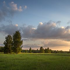 фото "В поле"