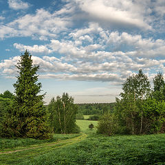 фото "сирень у дороги"