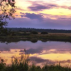 фото "на закате"