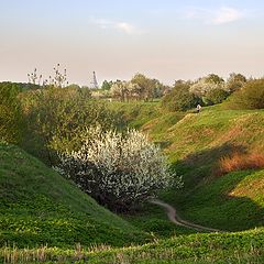 фото "Весеннее настроение"