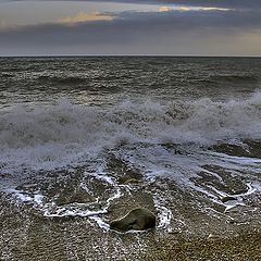 фото "Вечерний ропот моря"