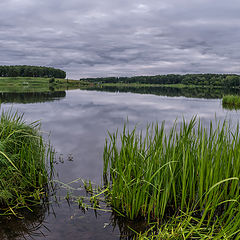 фото "утро на озере"