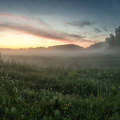 фото "Утро"